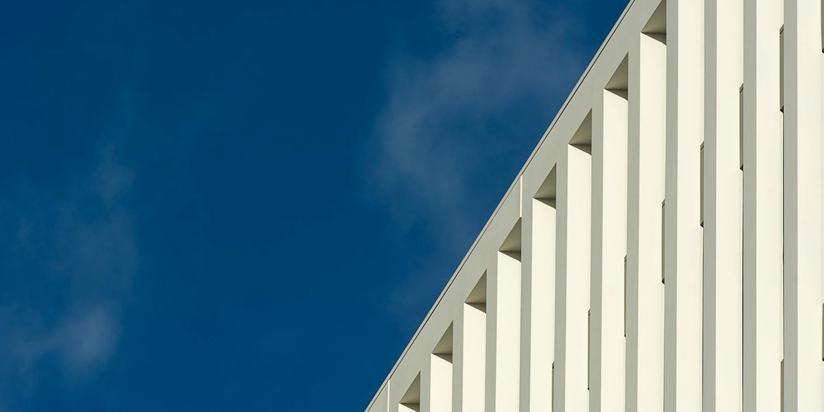 Wide landscape view with a sharp horizon line symbolizing clarity.